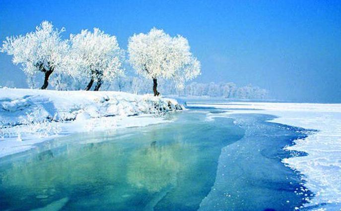 吉林智造领航未来，揭秘吉林前沿高科技创新成果