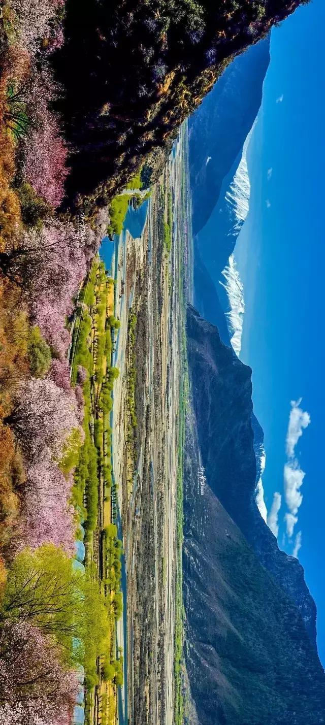 西藏之旅,探寻神秘高原的魅力与风采