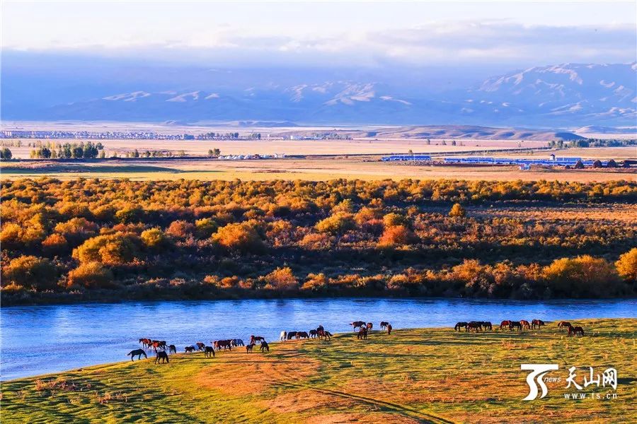 新疆，稳定繁荣的西北明珠闪耀光芒
